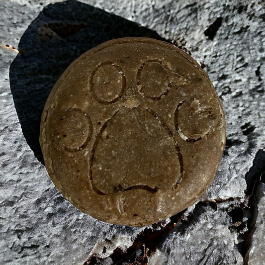 Champú sólido para perritos